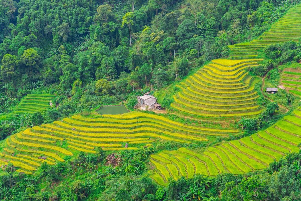 Trek Hoang Su Phi Ha Giang 3 Day Itinerary
